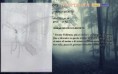 /album/pokedex-classico/a015-mortmoth-jpg/